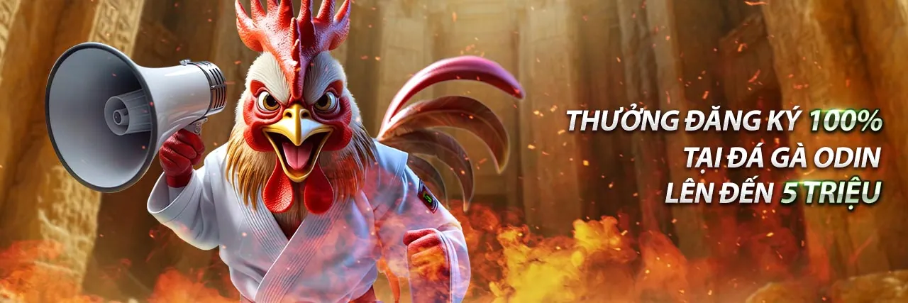 Hình ảnh chủ đạo về bảo mật dữ liệu và quyền riêng tư của 678wim đăng nhập